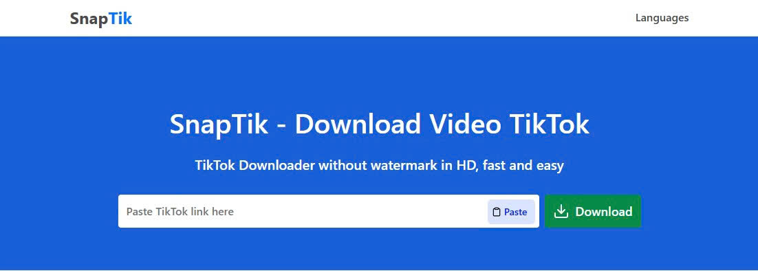 SnapSave free online TikTok video downloader without watermark